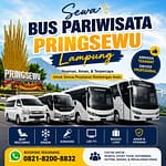 Sewa Bus Pariwisata Pringsewu Lampung untuk wisata, study tour, gathering, outing kantor,